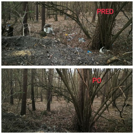 Brigáda deti Miezgovce media 3 (1)